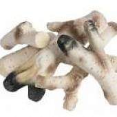 Декоративные элементы БЕРЕЗА МАКСИ FireBird